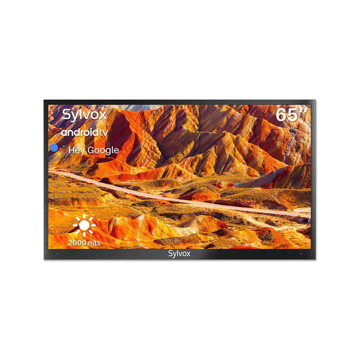 65" Outdoor TV (Full Sun) - 2023 Pool Pro Series